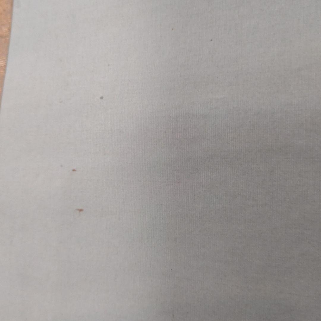 掛軸 「木蓮」 宮田司山 茶道具 待合掛け