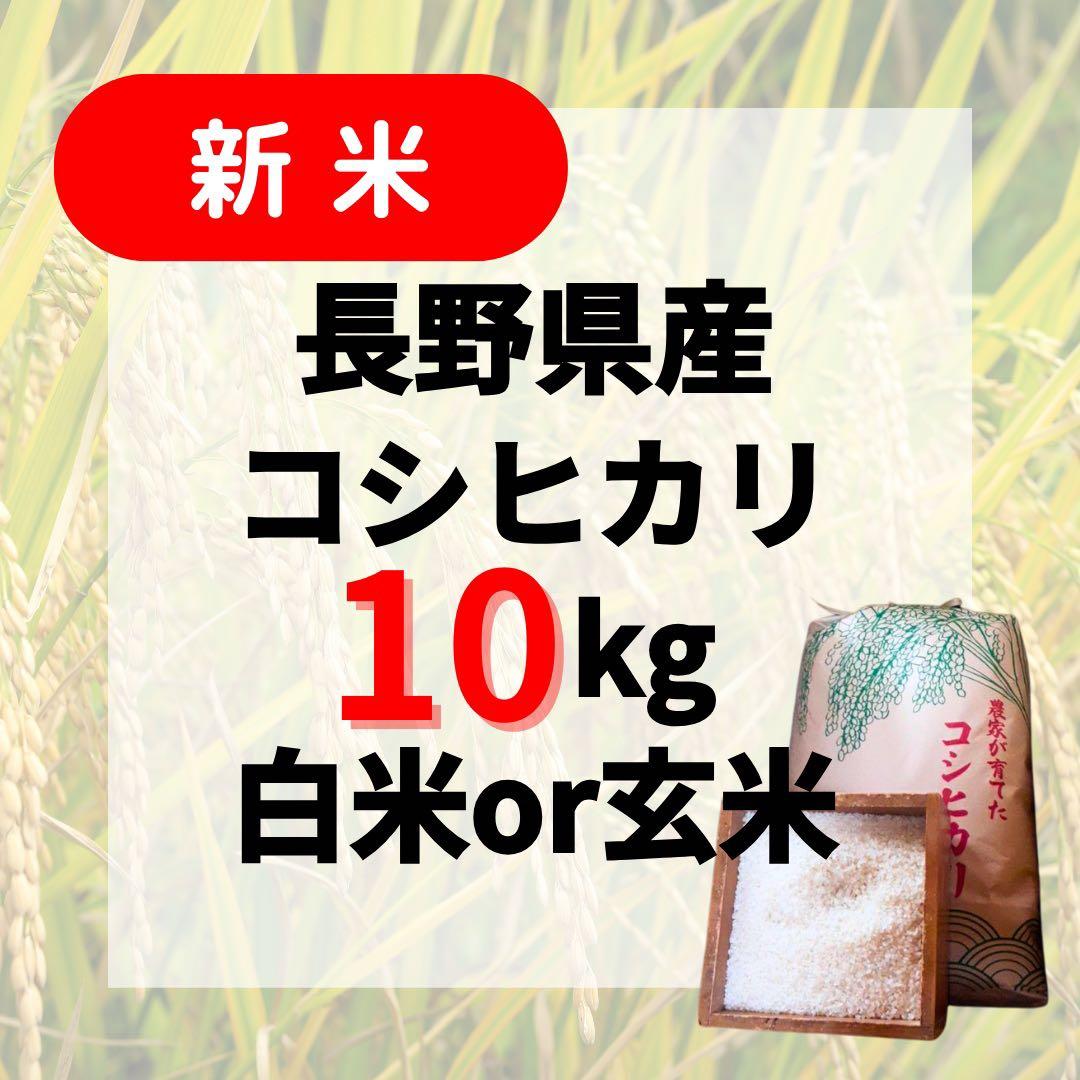 【新米】長野県産コシヒカリ10kg白米