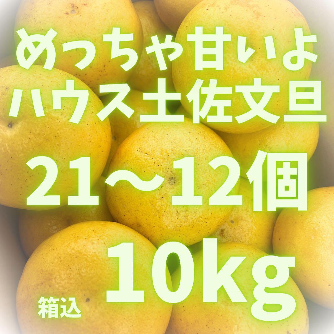 文旦　土佐文旦　ハウス栽培　　37