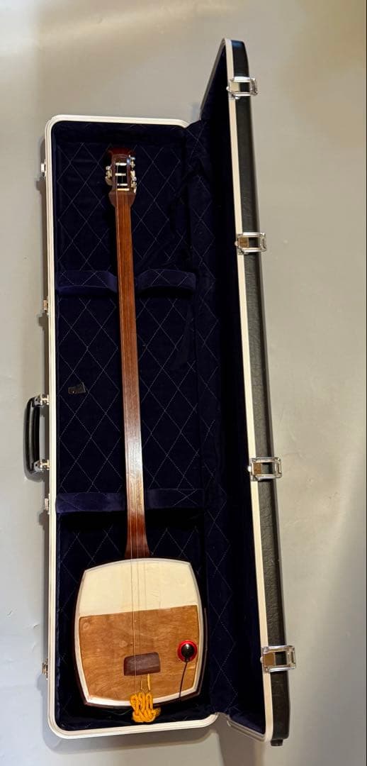 三味鉄弦　レア楽器　ピックアップ装備　ハードケース付