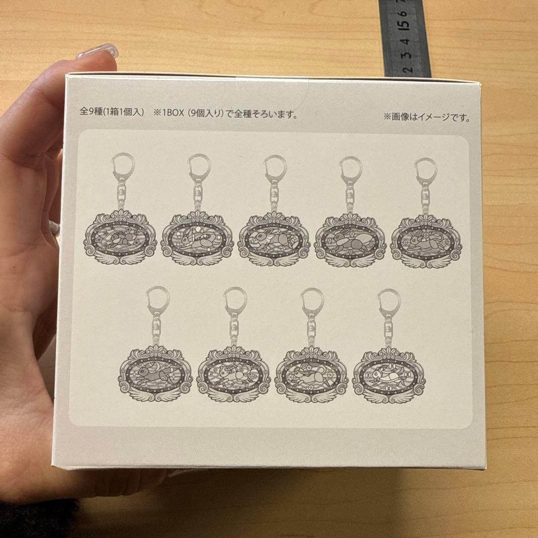 ポケパークカントー 9種コンプ ポケパーク キーホルダー イーブイ ポケモン