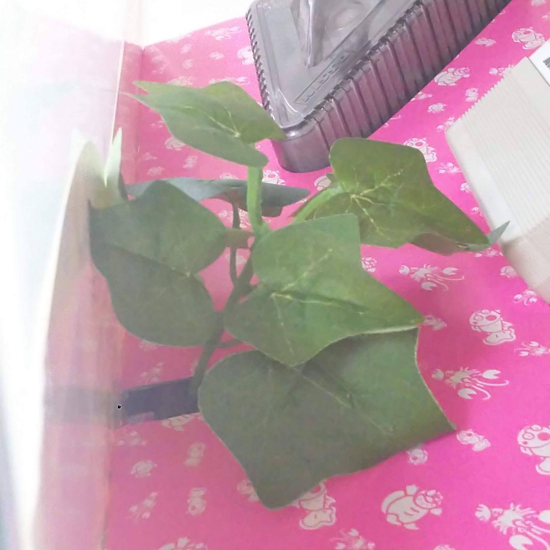 水槽セット 23L エアーポンプ フィルター 人口水草 餌 カルキ中和剤等計9点