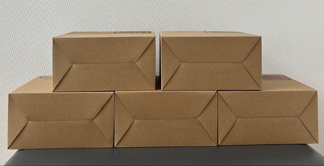 【新品】聖闘士聖衣神話 初期青銅聖衣 20th Anniversary 5セット