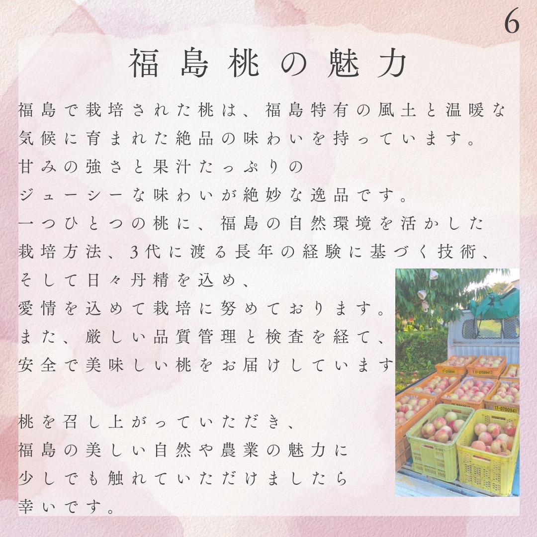 【リピ割】ことり 自宅用【幸茜10kg 約24-36個】