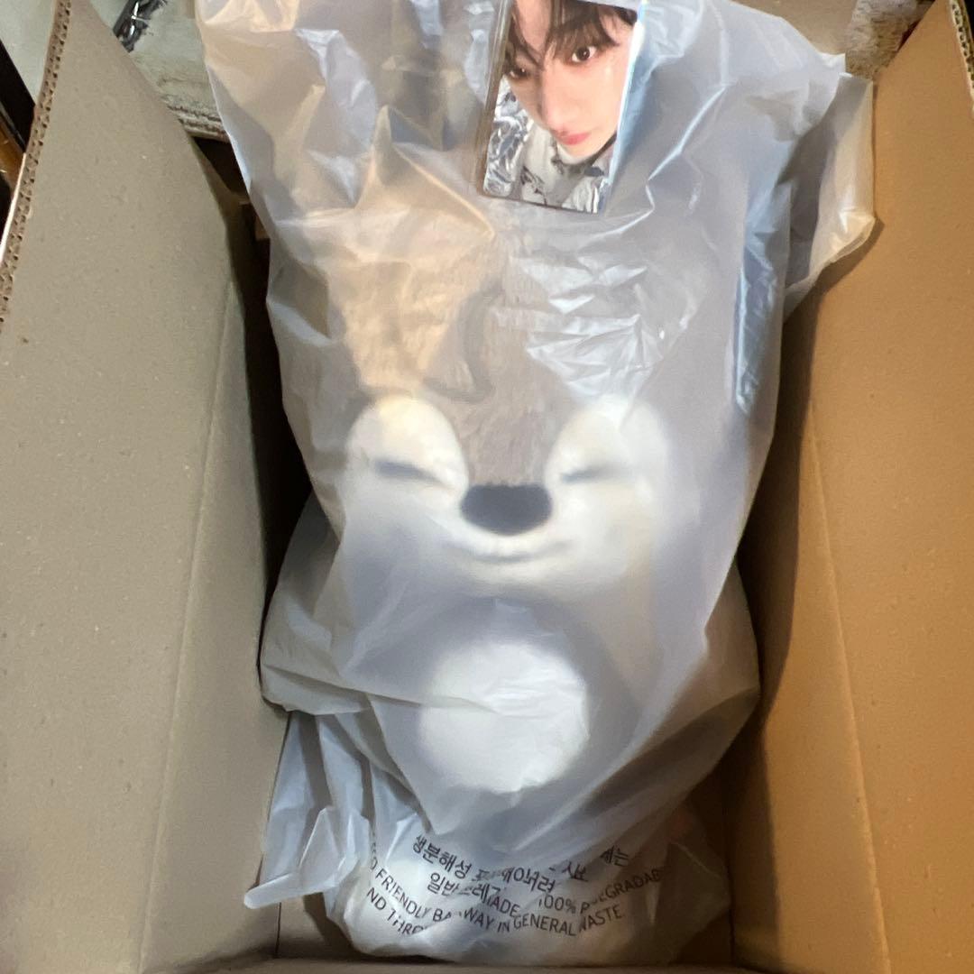 Stray Kids スキズ　skzoo テディベア ウルフチャン トレカ付