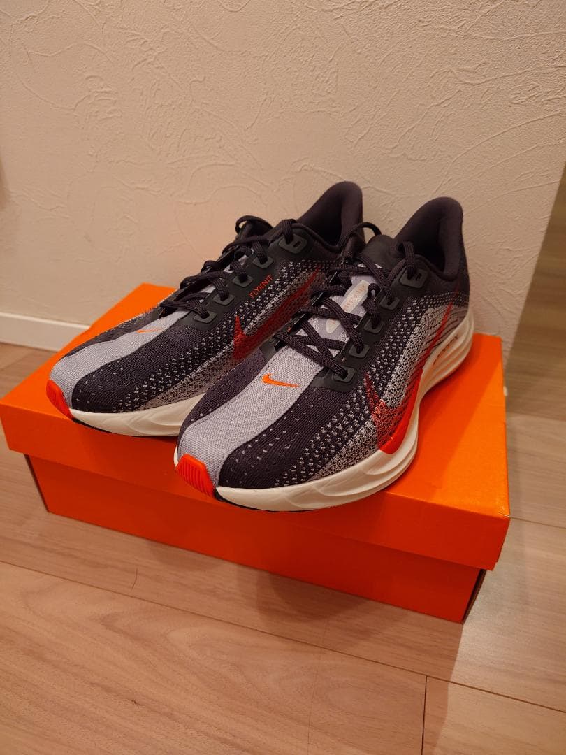 ナイキ　ペガサスプラス