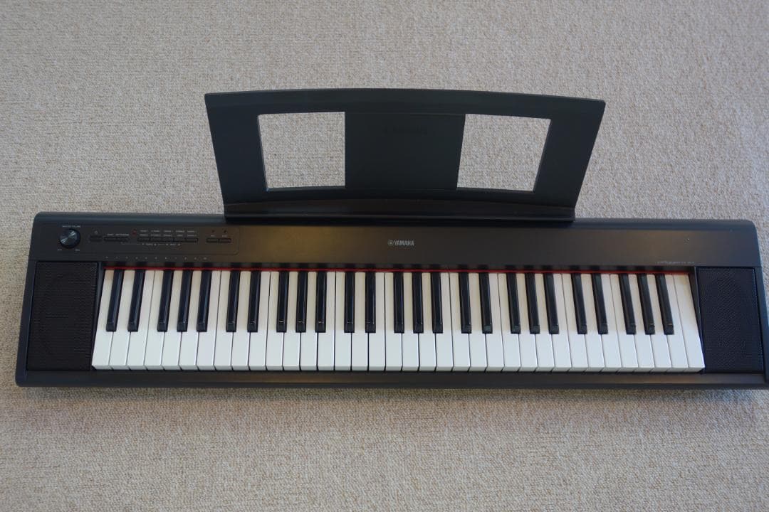 【美品】　ヤマハ Piaggero NP-12B 2022年製 純正ケース付