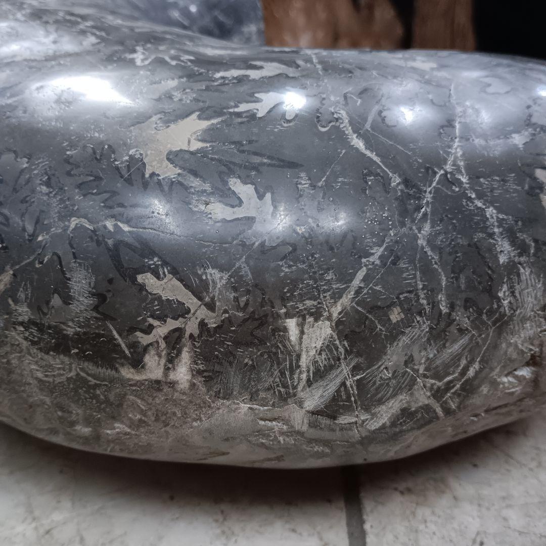 ４５２５）アンモナイトの化石　３０ｋｇ超え　縫合線　鑑賞石　置物