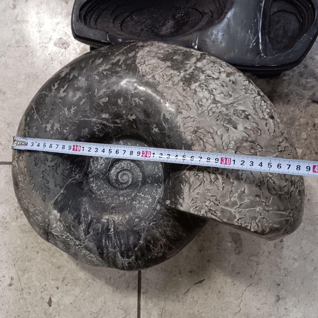 ４５２５）アンモナイトの化石　３０ｋｇ超え　縫合線　鑑賞石　置物