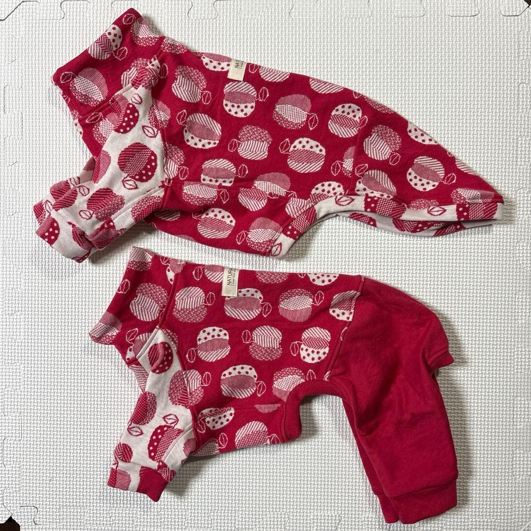 犬服　イタグレ服