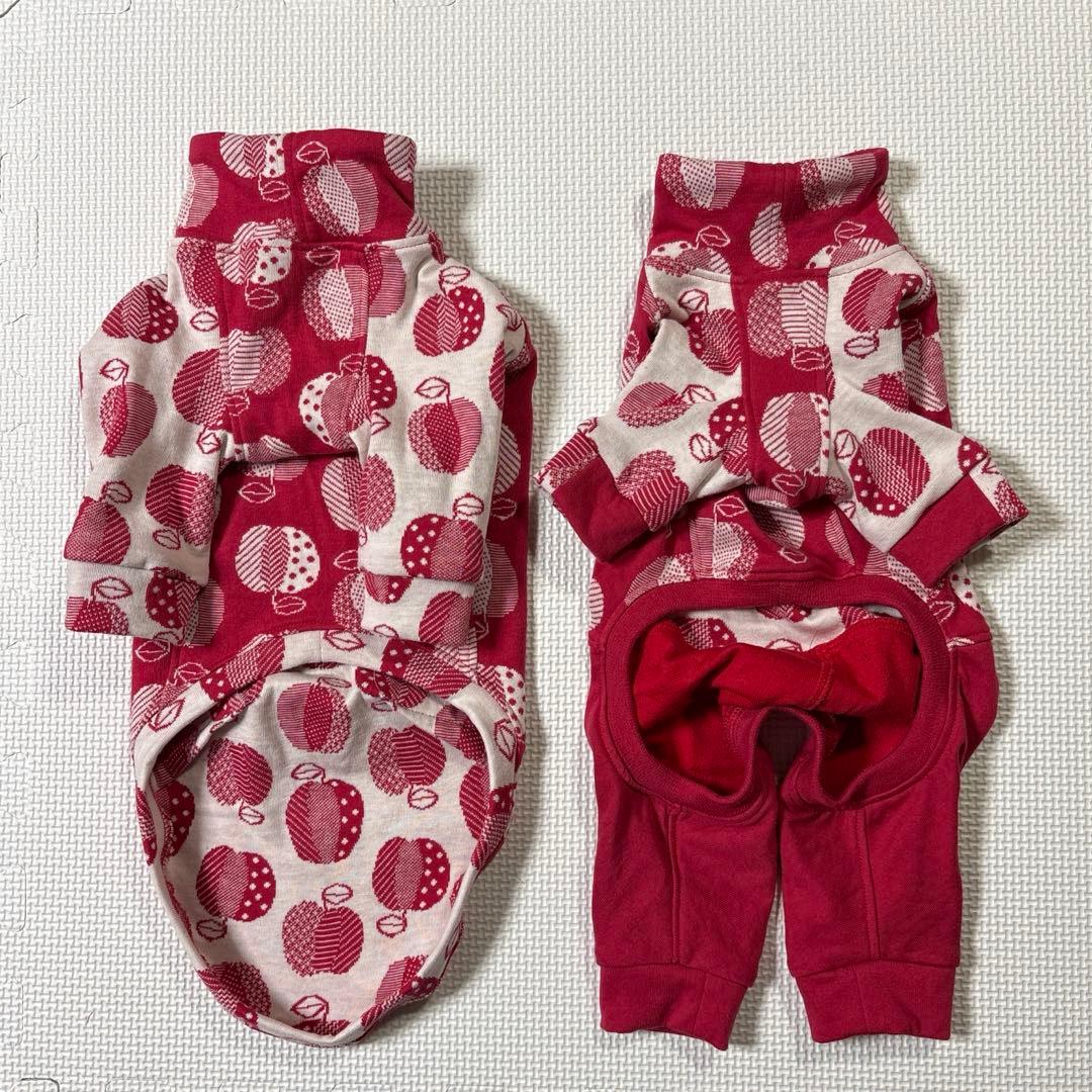 犬服　イタグレ服