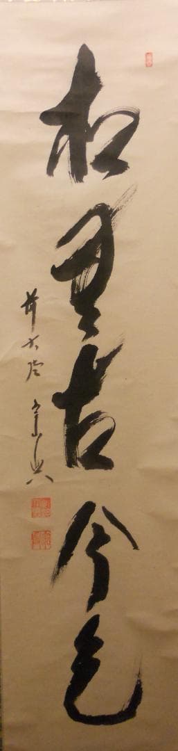 掛け軸 大徳寺派 極楽寺 西垣宗興 作 一行書『 松無古今色 』掛軸 茶掛 美品