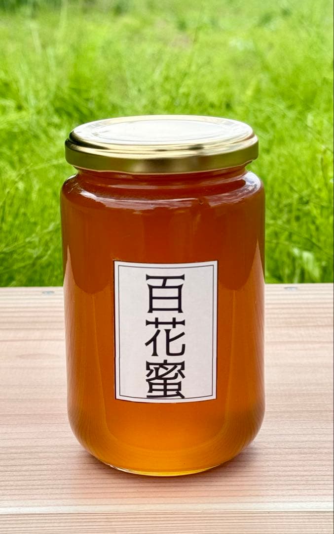 茨城県産　無添加非加熱純粋ハチミツ　食べ比べセット　480g✖️3個