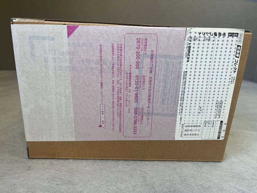 真骨彫 仮面ライダー1号（桜島Ver.）