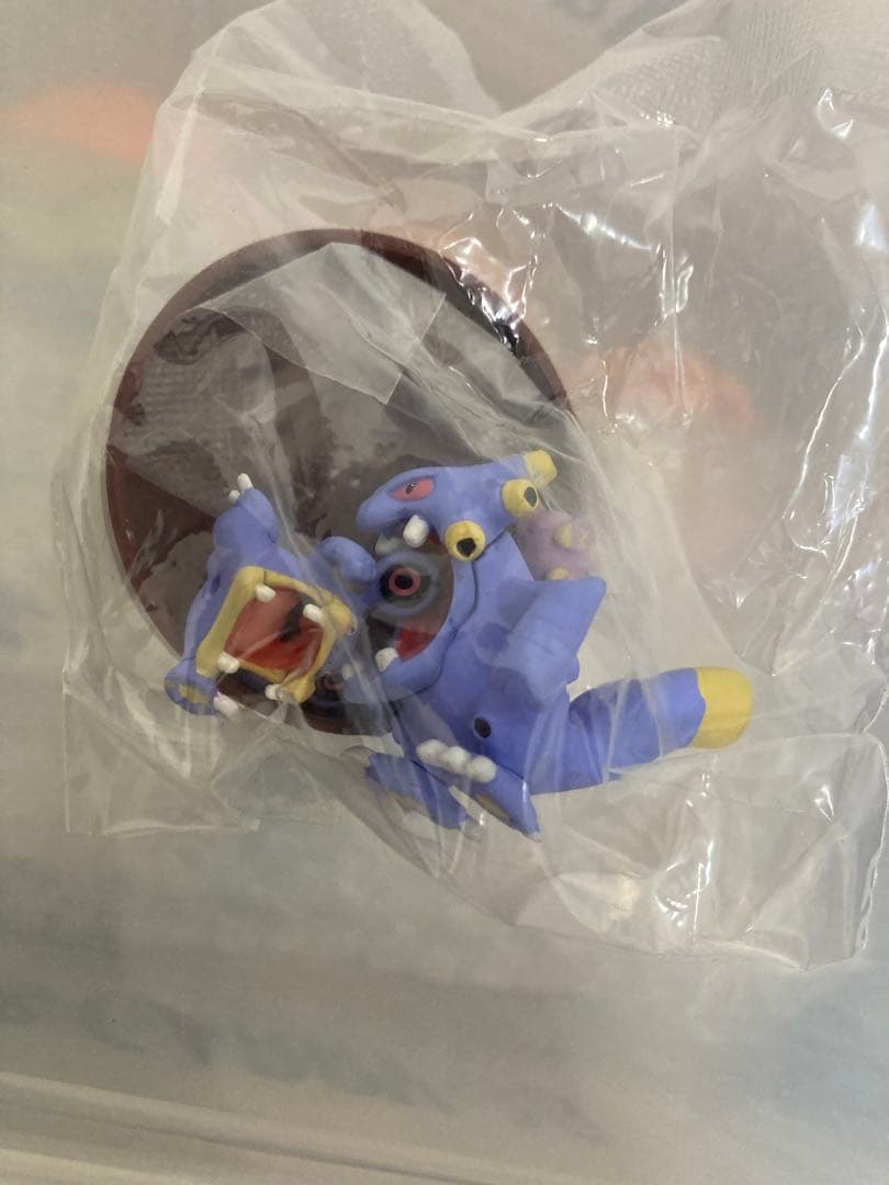 未開封 立体ポケモン図鑑 ゴニョゴニョ ドゴーム バクオング フィギュア