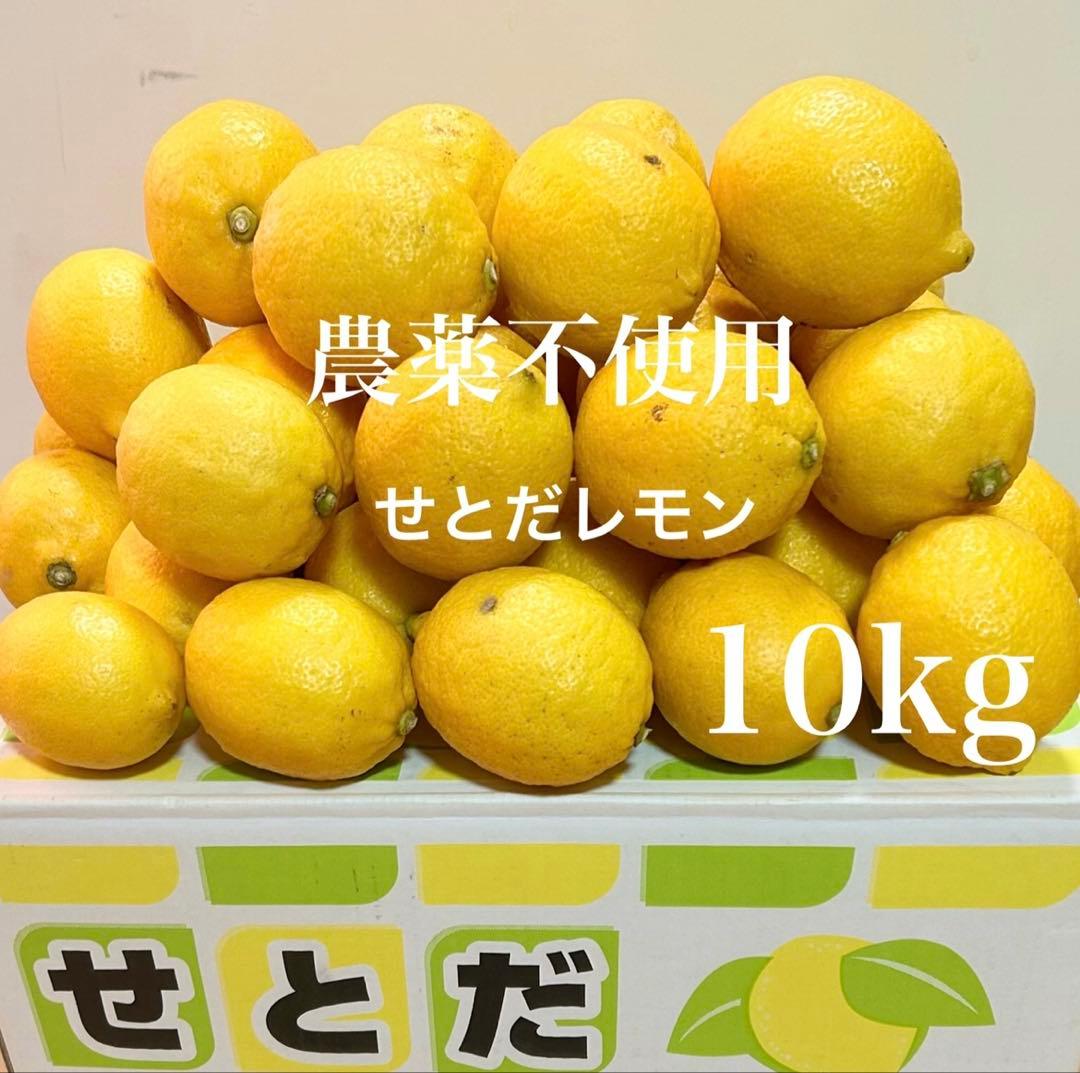 10国産瀬戸田レモン10kg前後