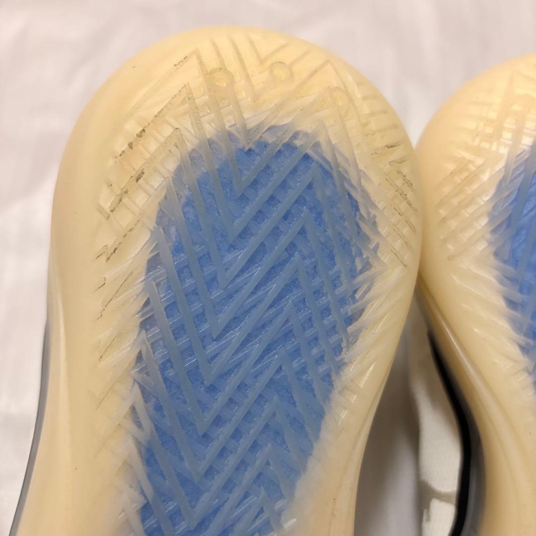 シューズ(男性用) Nike Air Jordan 39 29cm