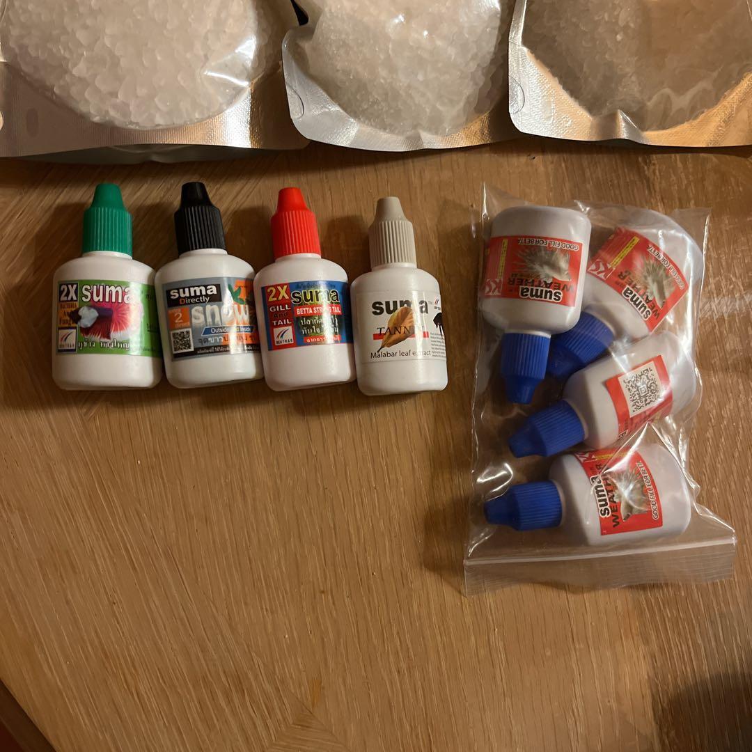 suma 9個セット　ベタ飼育