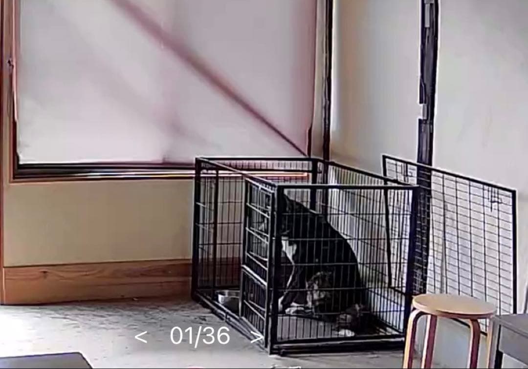 Fearndea 中型犬用ケージ 黒