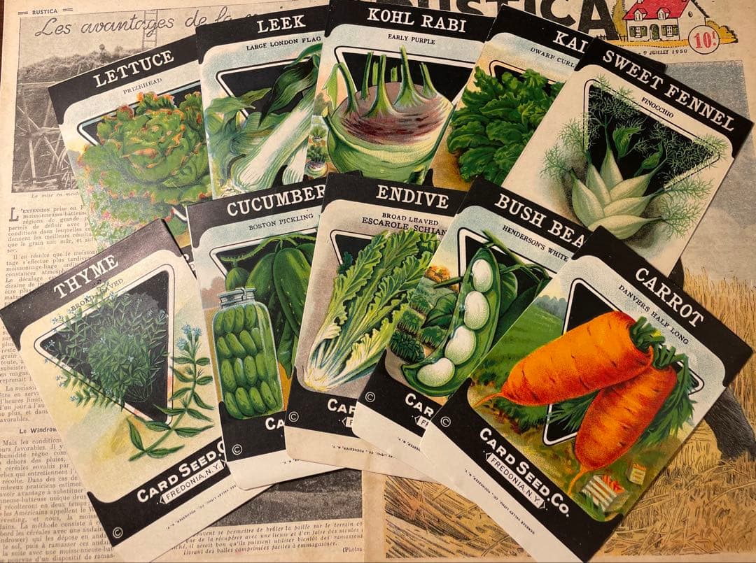 海外　ヴィンテージ　シードパケット10枚　a ジャンクジャーナル