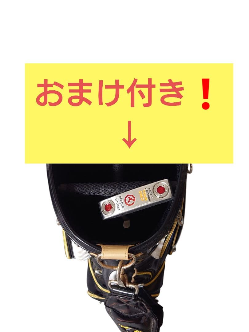 【今だけ❗️】キャディーバッグ