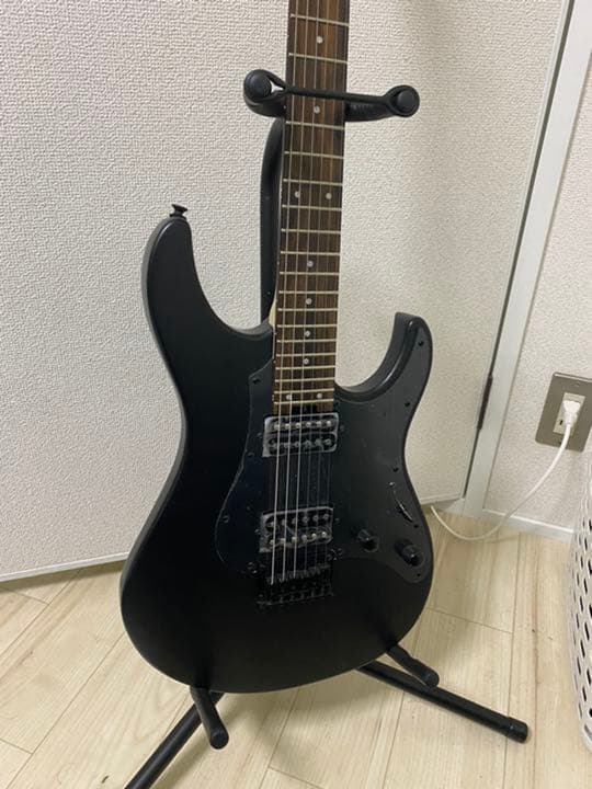 ギター grass roots  G-SN-45DX