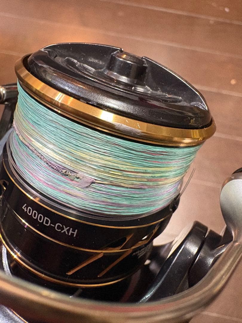 ダイワ　カルディアSW 4000D-CXH