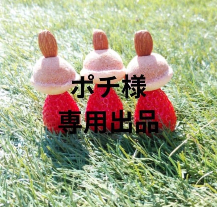 ポチ やよい700 10クール便