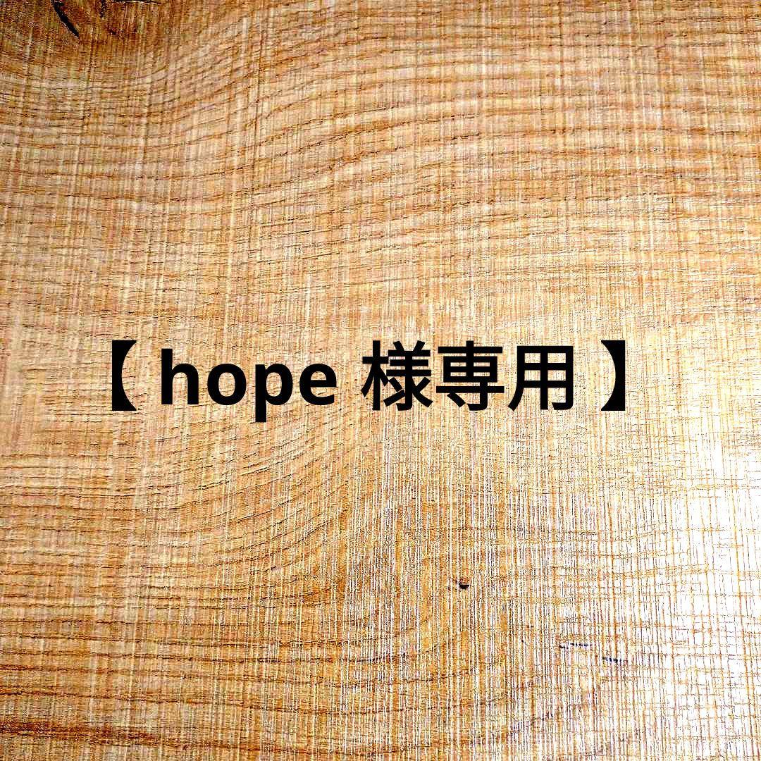 【専用出品】テングビーフジャーキー１０袋セット