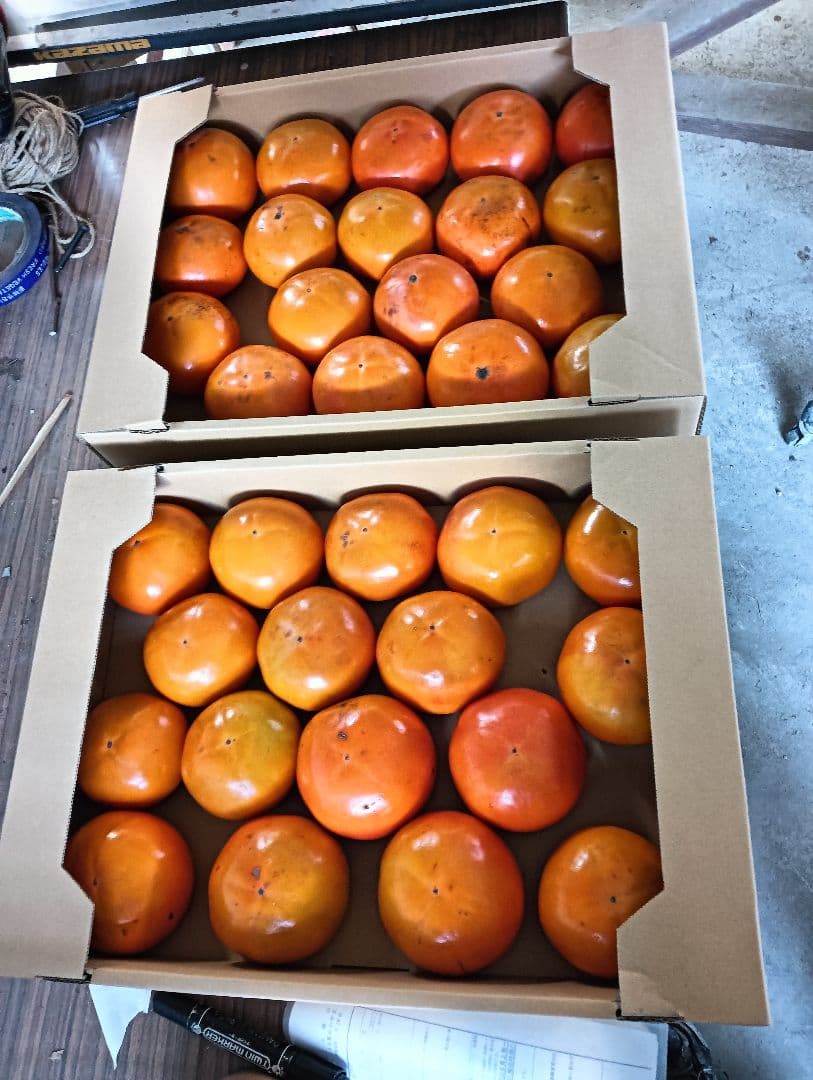 富有柿 10kg　chocoさま専用