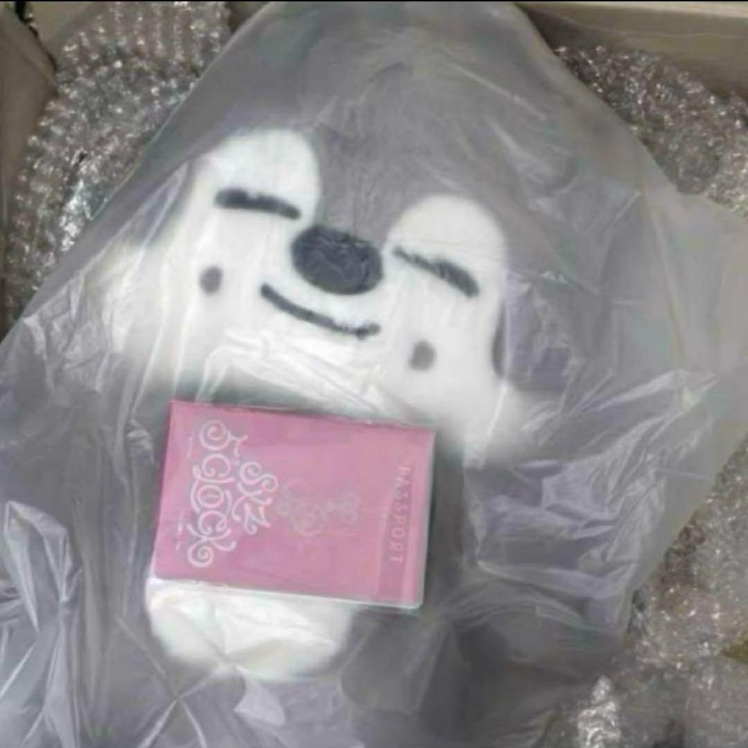 る*き様 straykids スキズ テディベア SKZOO ウルフチャン　te