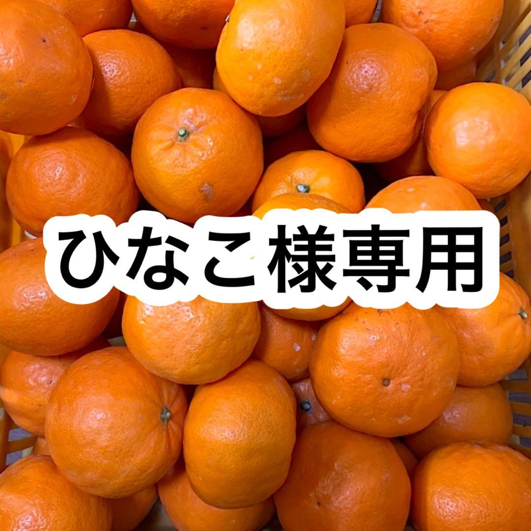 はれひめ 40kg 超超訳あり