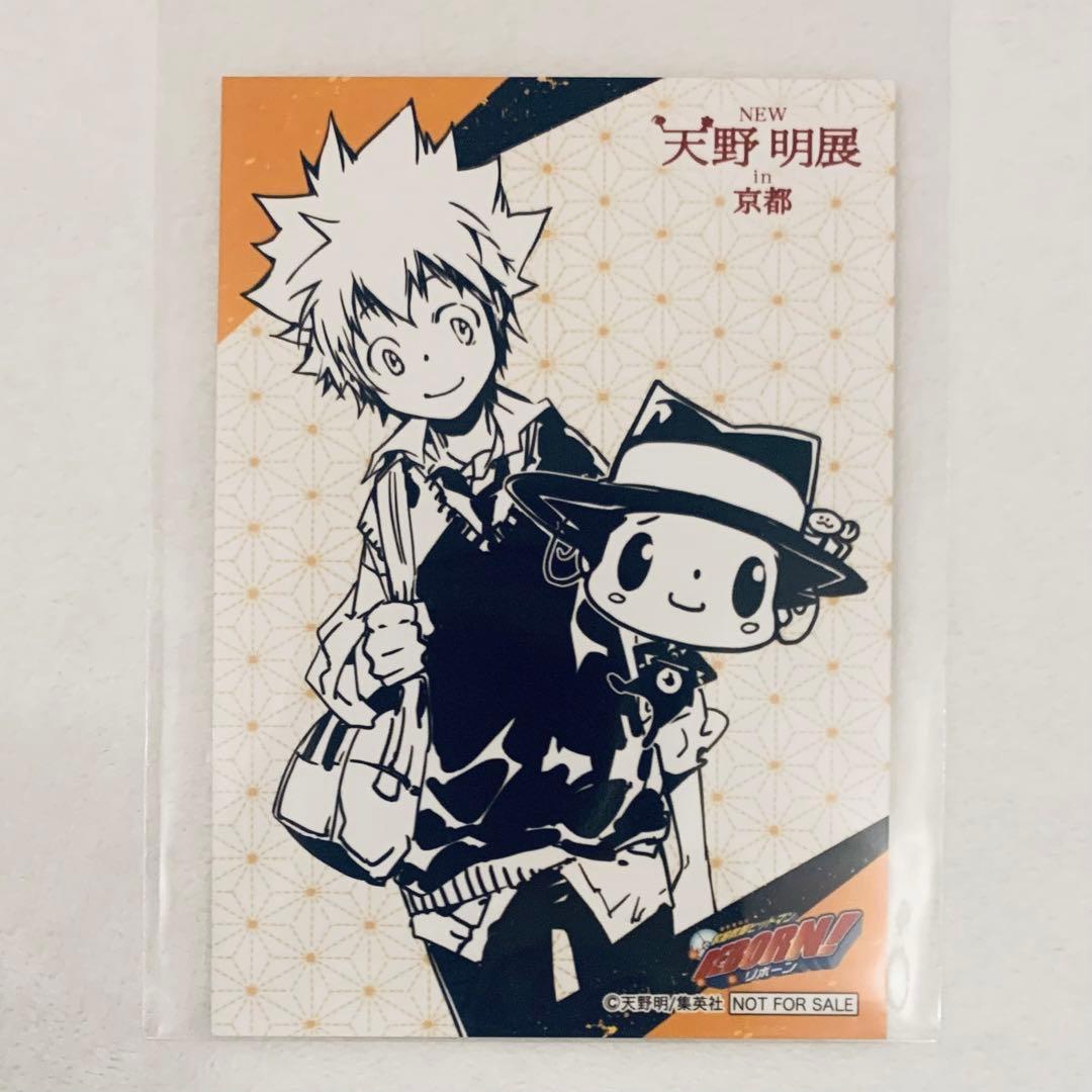 家庭教師ヒットマンREBORN 天野明展 京都 特典 ブロマイド ツナ リボーン