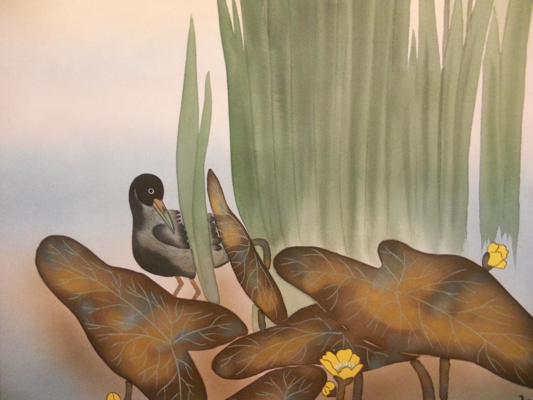 掛け軸 小川大鳳 『 菖蒲に鷭 』 絹本 希少 軸装 茶道具 掛軸 美品 です。