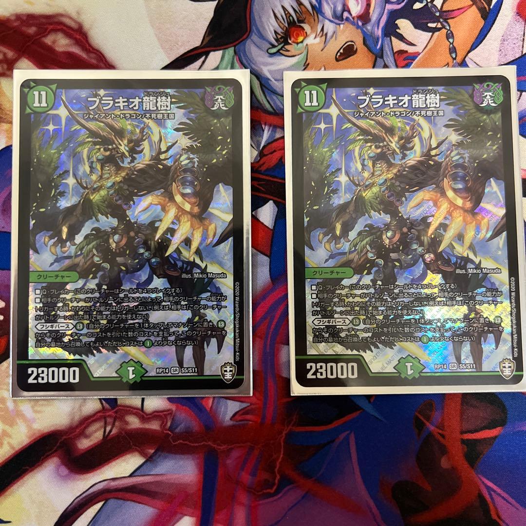 ブラキオ龍樹　2枚セット　即配送