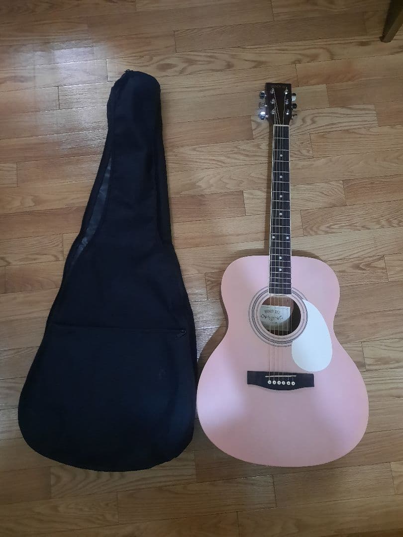 HONEY BEE アコースティックギター F-15 SKR