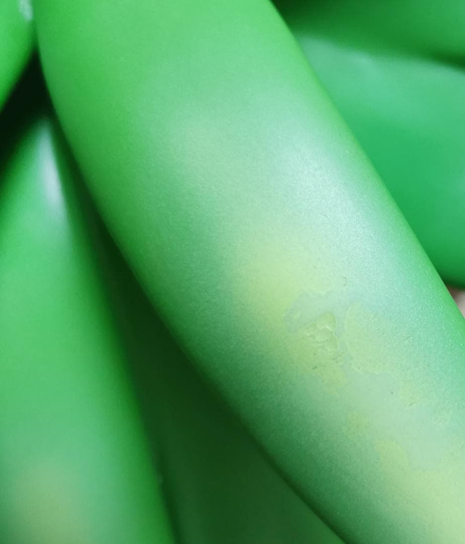 アローラ ナッシー 巨大フィギュア GGP 箱なし ポケモン バンダイ 現状品