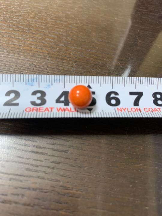 本珊瑚　サンゴ