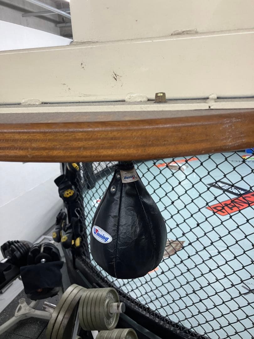 winning(ウイニング) パンチングボールドラム(大型)