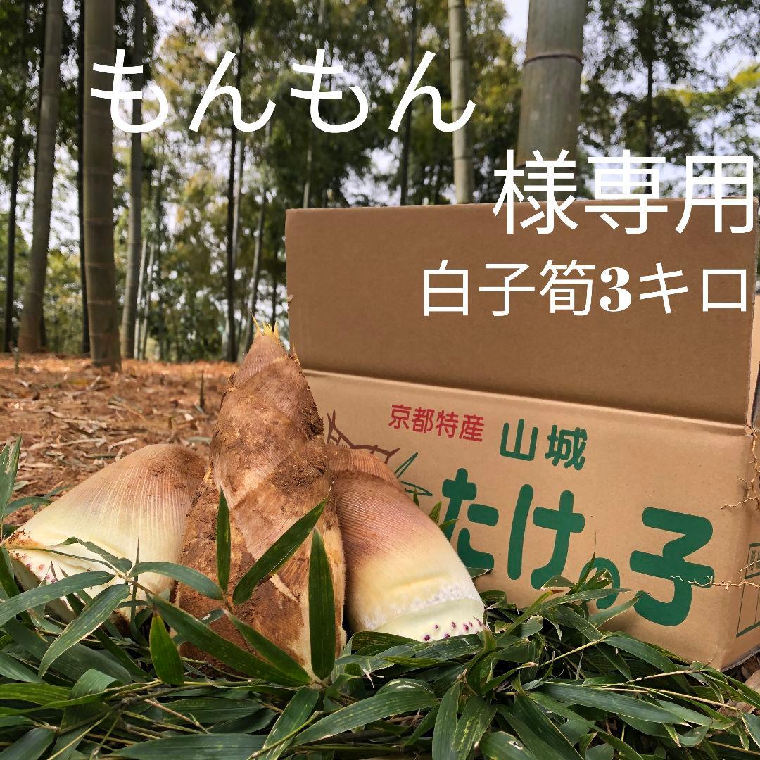もんもん　白子筍3キロ