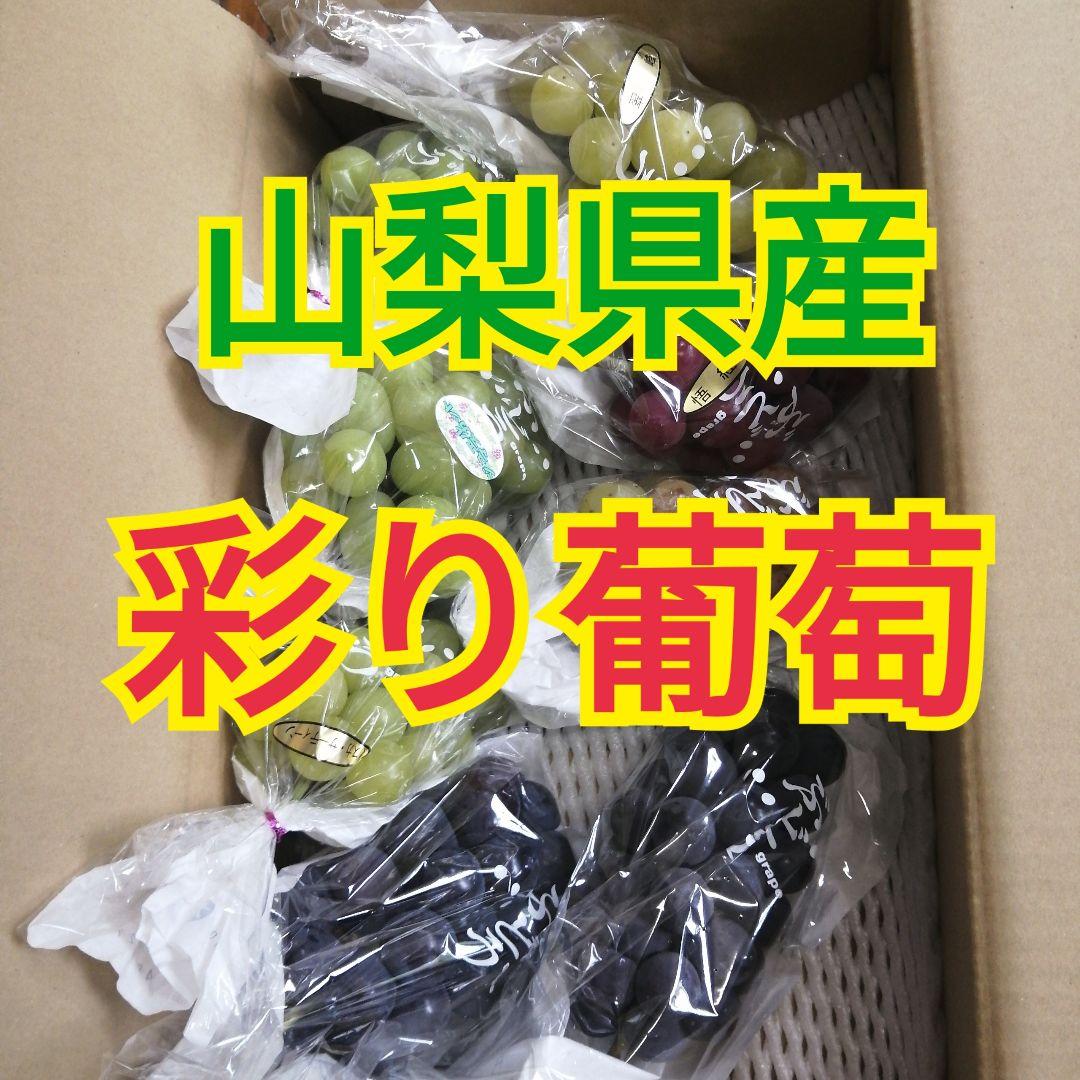 山梨県産　彩り葡萄　房　3kg箱　即日発送
