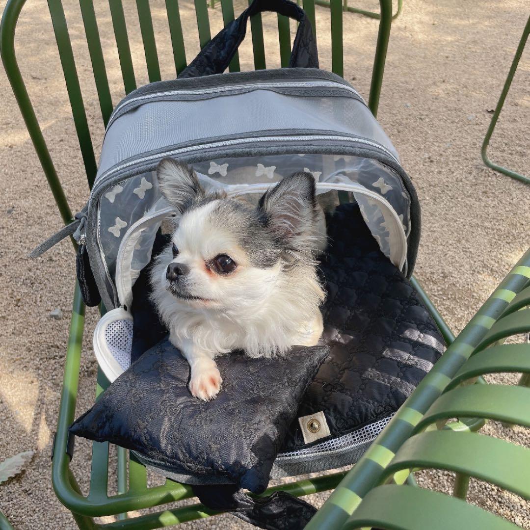 〚Babiana〛AJIBAG CUBE SEETHROUGH バビアナ 展開式