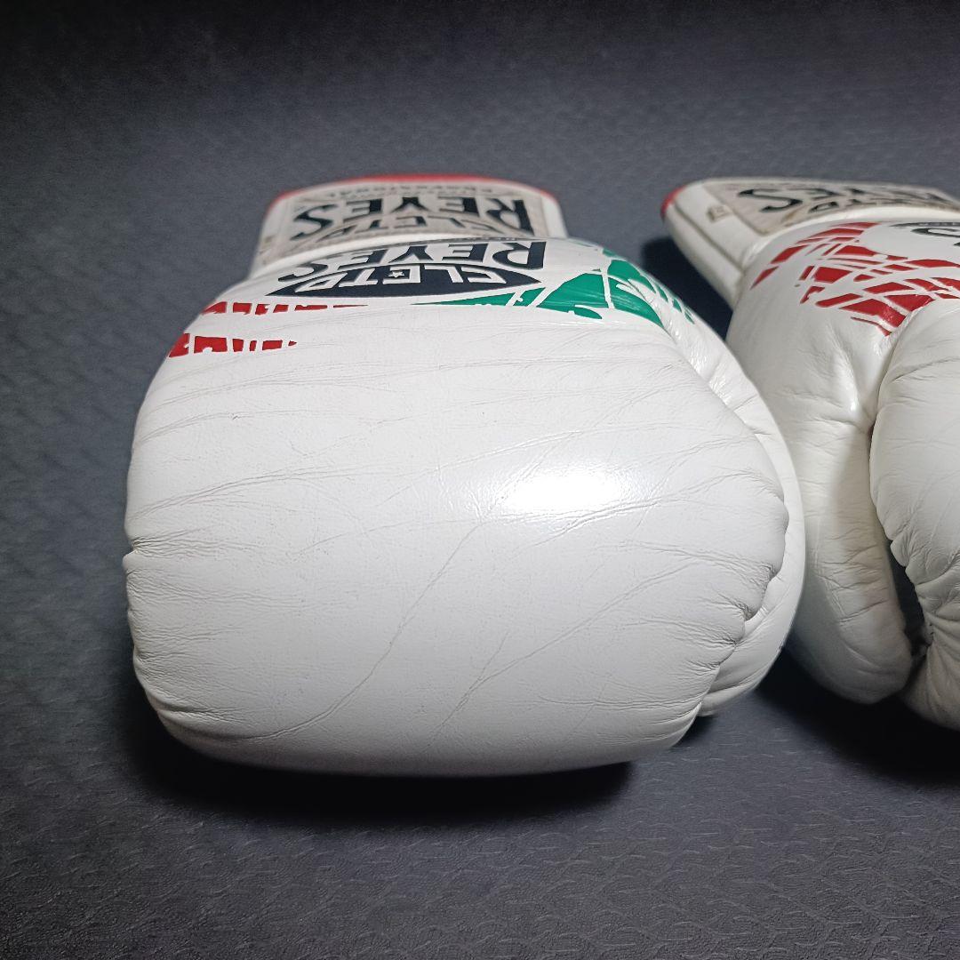 Reyes /レイジェス ボクシンググローブ 8oz セーフテックモデル
