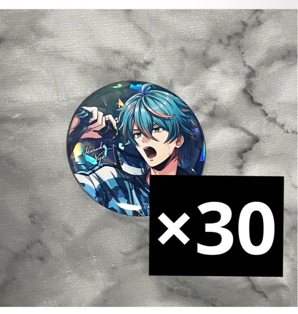 二条遥　アルゴナビス　ホログラム缶バッジ