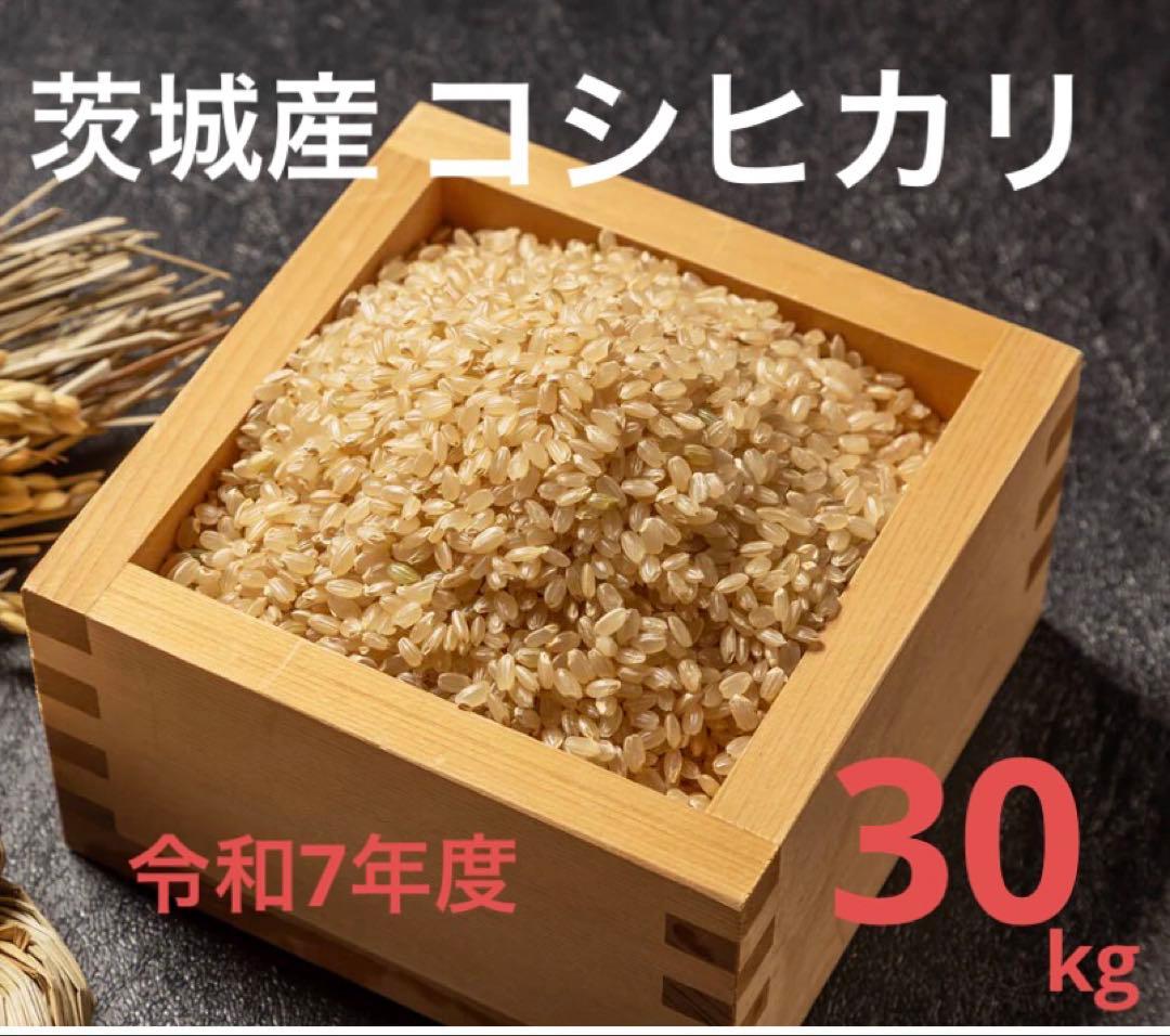 茨城県産 コシヒカリ30キロ 玄米