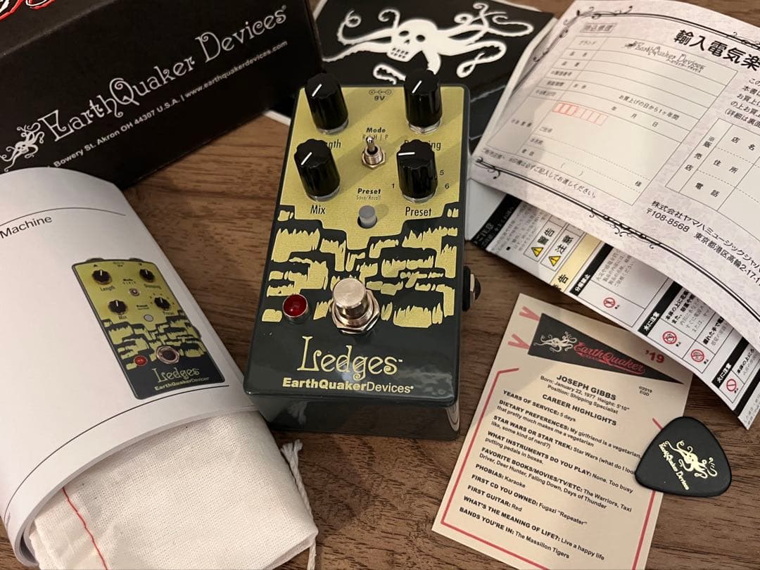 EarthQuaker Devices Ledges リバーブ