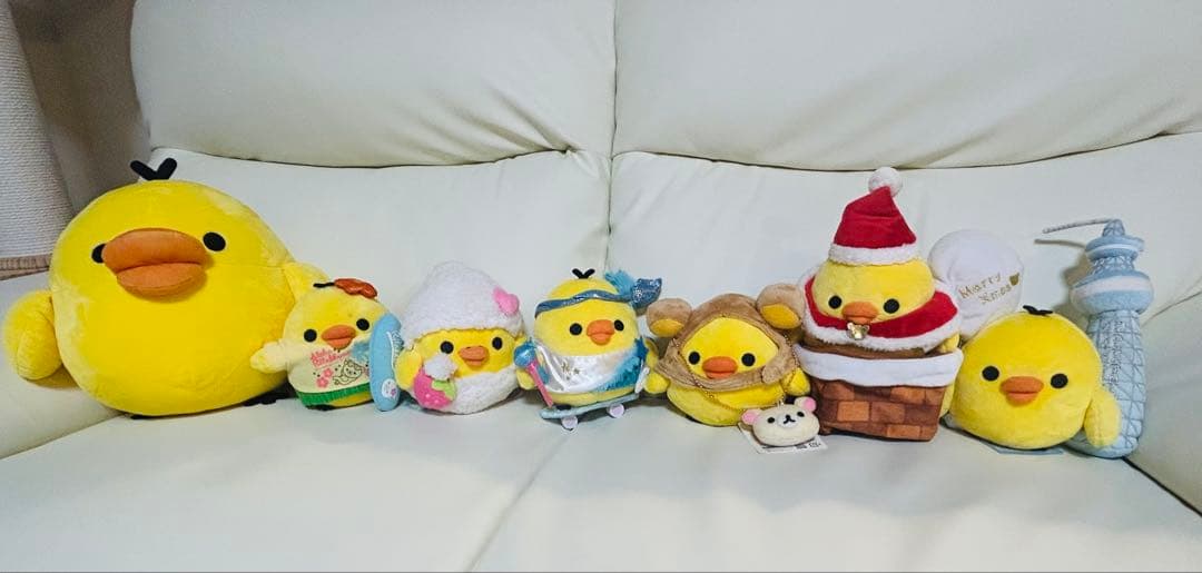 キイロイトリ　31匹