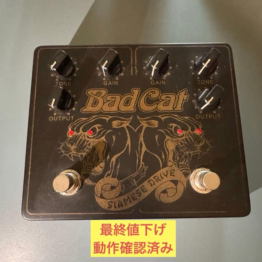 【最終値下げ】 Bad Cat Siamese Drive