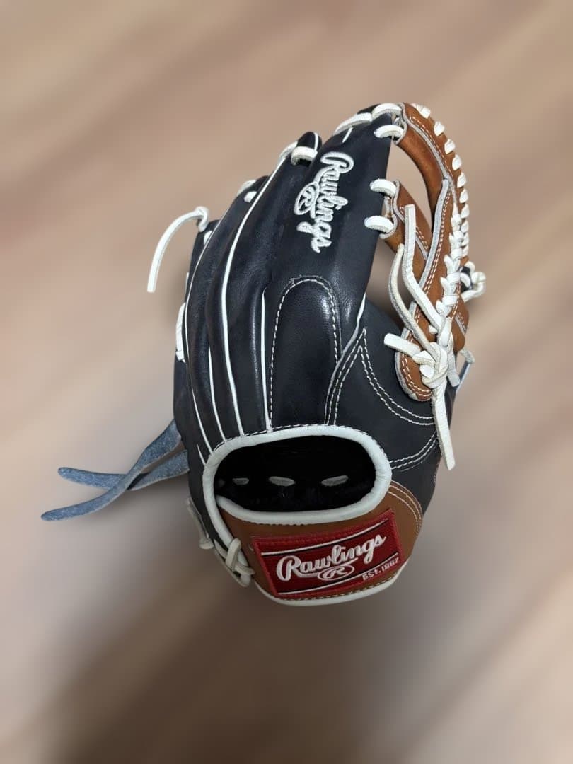 Rawlings Pro Series 軟式グローブ 黒/茶