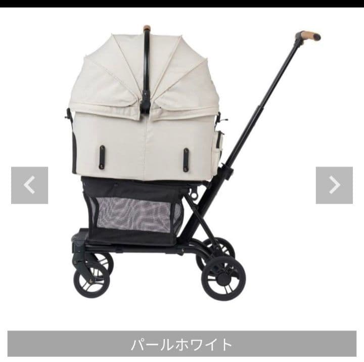 エアバギー wiz x